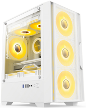 Case 9501MW